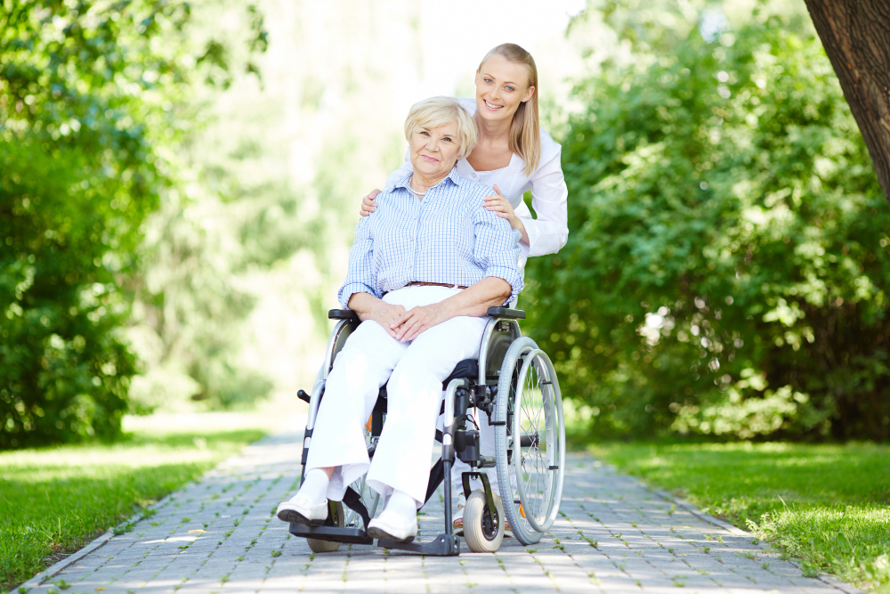 Revolutionizing Elderly Transportation in Theme Parks