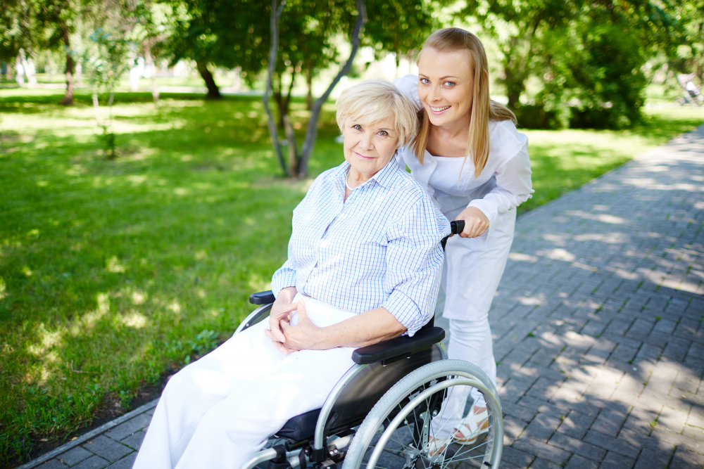 Reasons to Consider Wheelchair Transportation Services for Seniors on Your Next Theme Park Visit